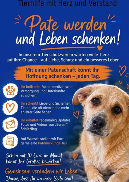 Zukis neues Zuhause